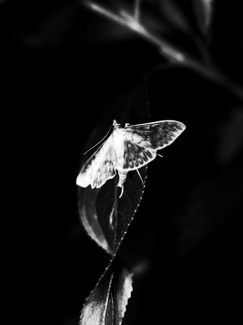 © Adrián González Salgueiro - Image from the Nouturnio photography project