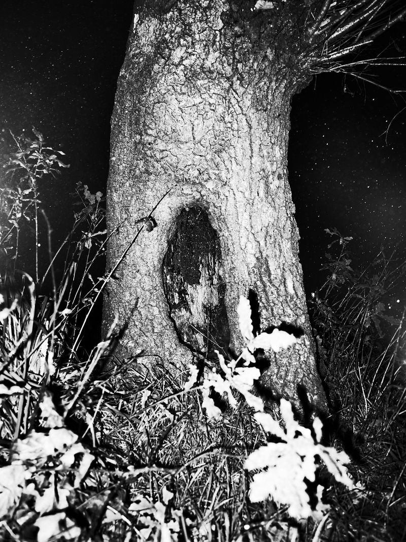 © Adrián González Salgueiro - Image from the Nouturnio photography project