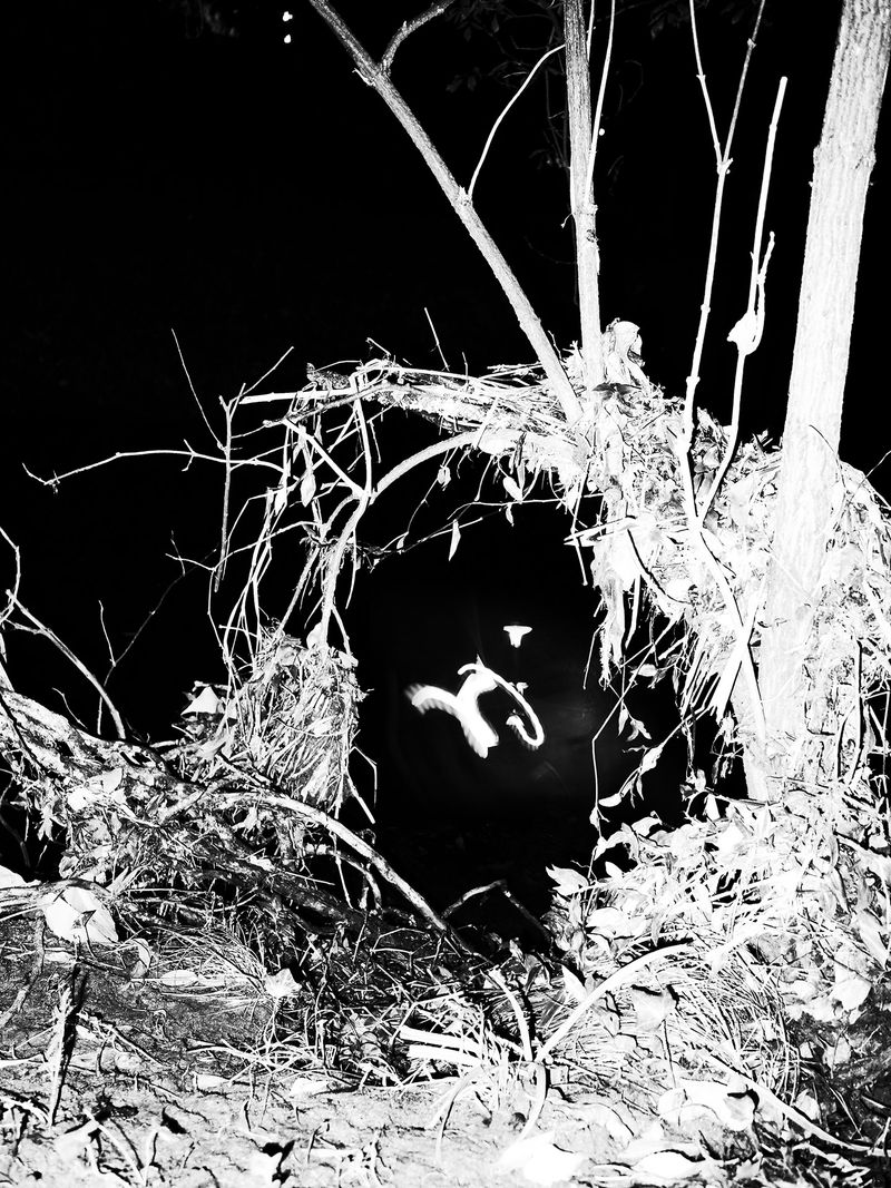 © Adrián González Salgueiro - Image from the Nouturnio photography project