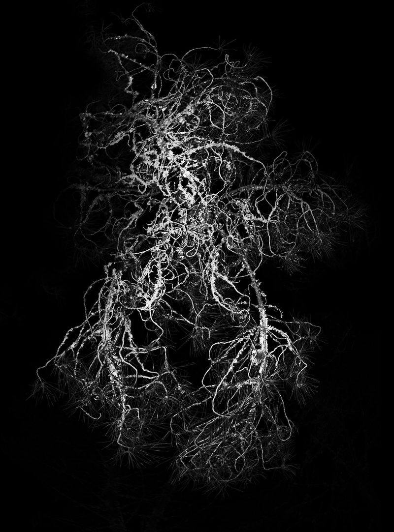 © Adrián González Salgueiro - Image from the Nouturnio photography project