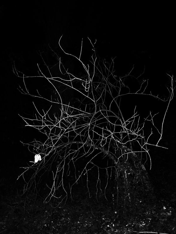 © Adrián González Salgueiro - Image from the Nouturnio photography project