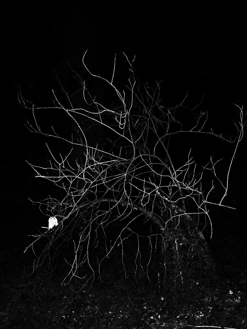 © Adrián González Salgueiro - Image from the Nouturnio photography project