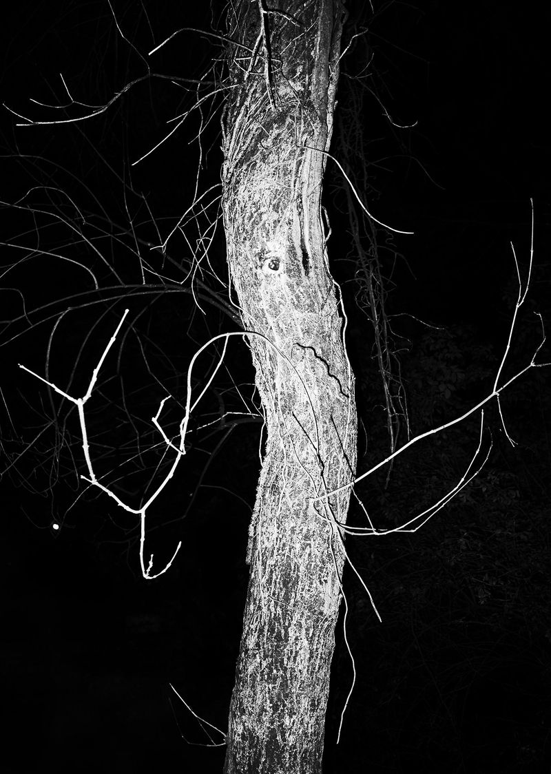 © Adrián González Salgueiro - Image from the Nouturnio photography project