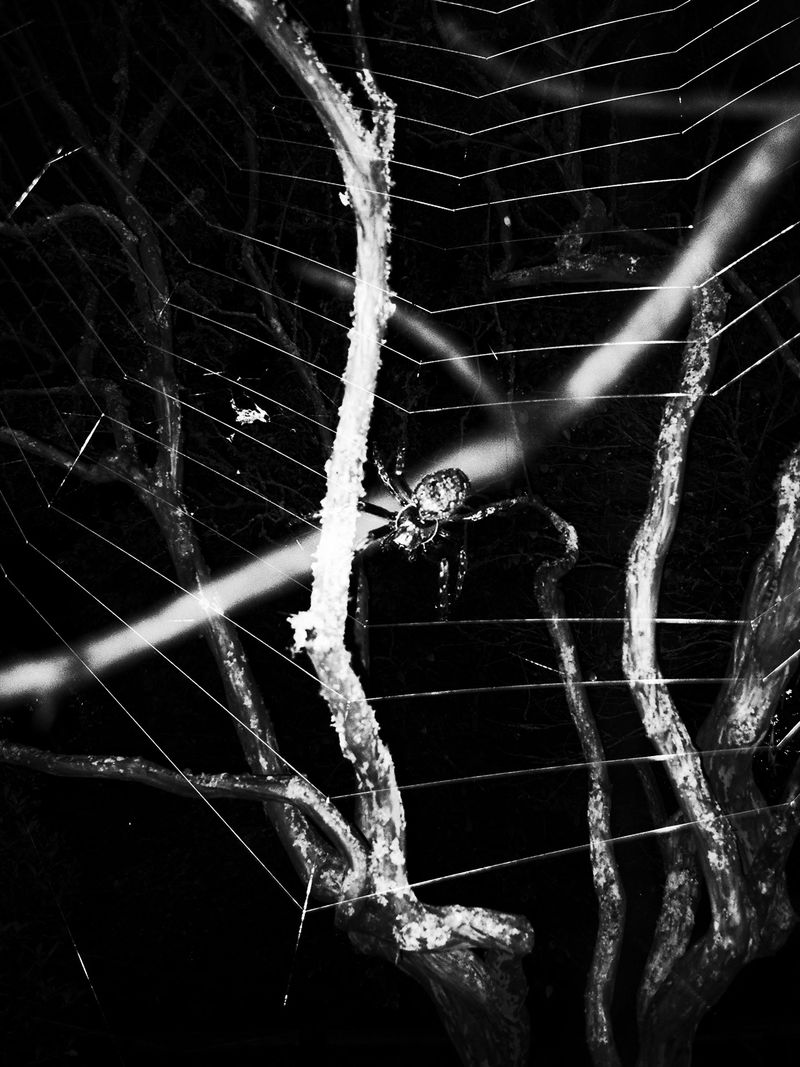 © Adrián González Salgueiro - Image from the Nouturnio photography project