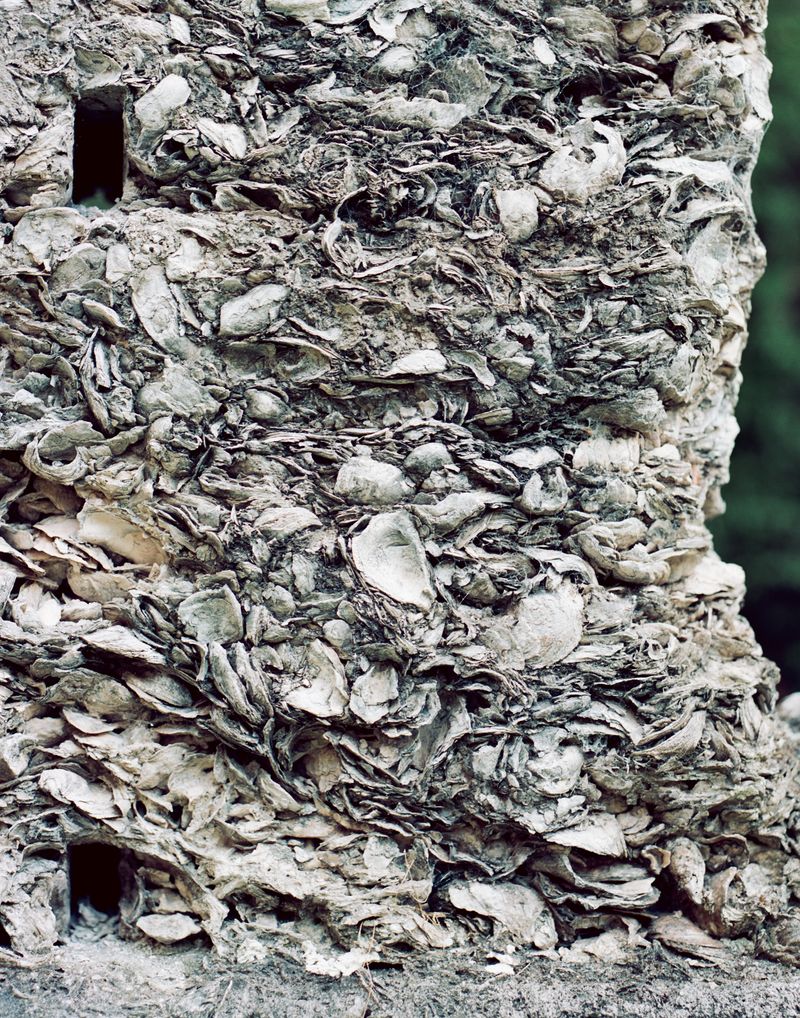 © Maximilian Thuemler - Sugarhouse (Tabby Wall), St. Marys, Georgia, 2019