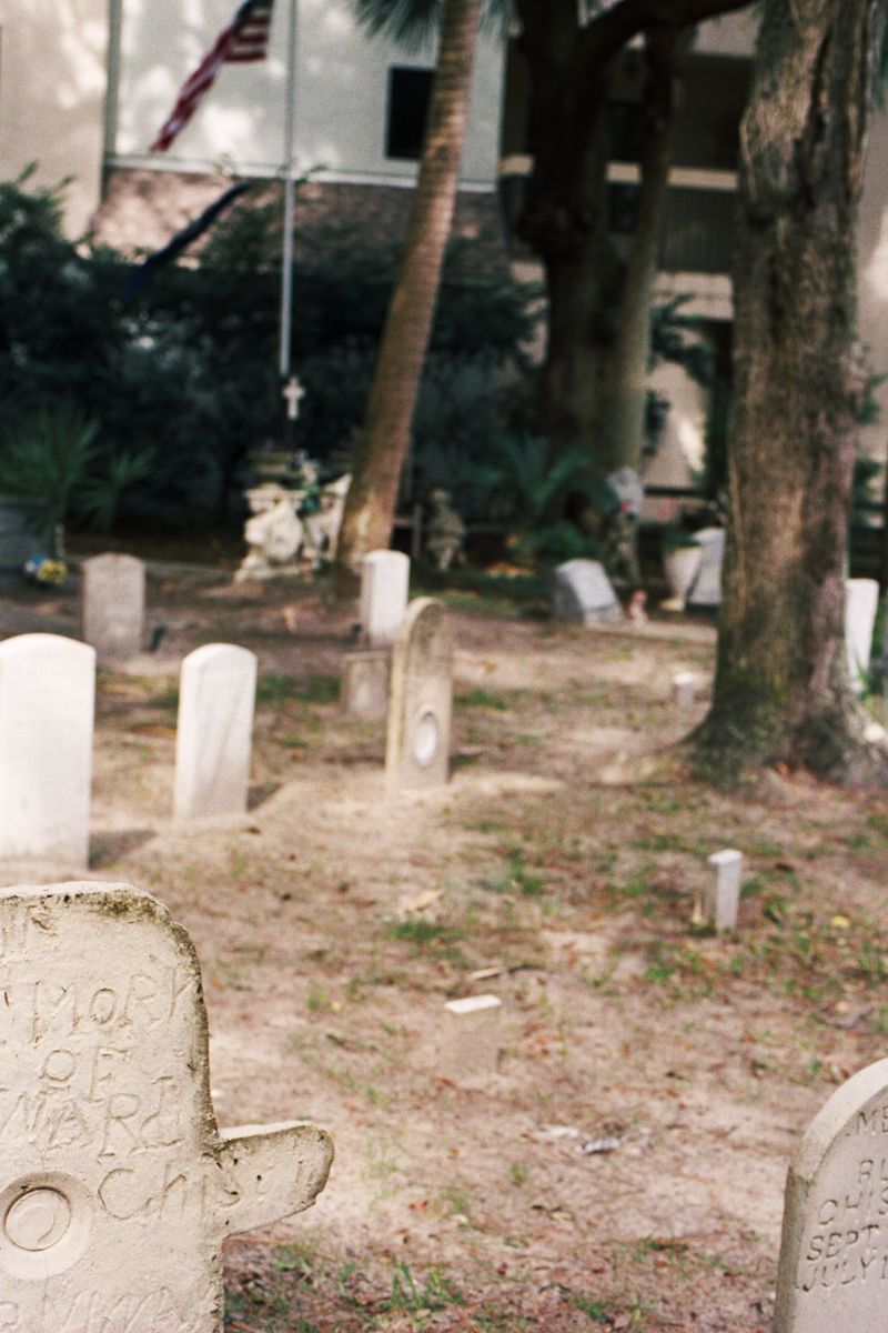 © Maximilian Thuemler - Boneyard, Hilton Head Island, South Carolina, 2020