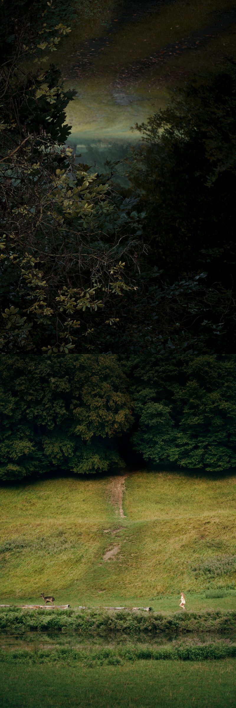 © Nadja Ellinger - The Path