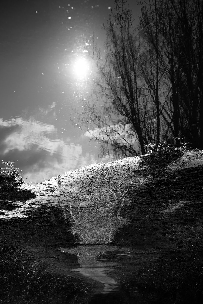 © Nadja Ellinger - Puddle