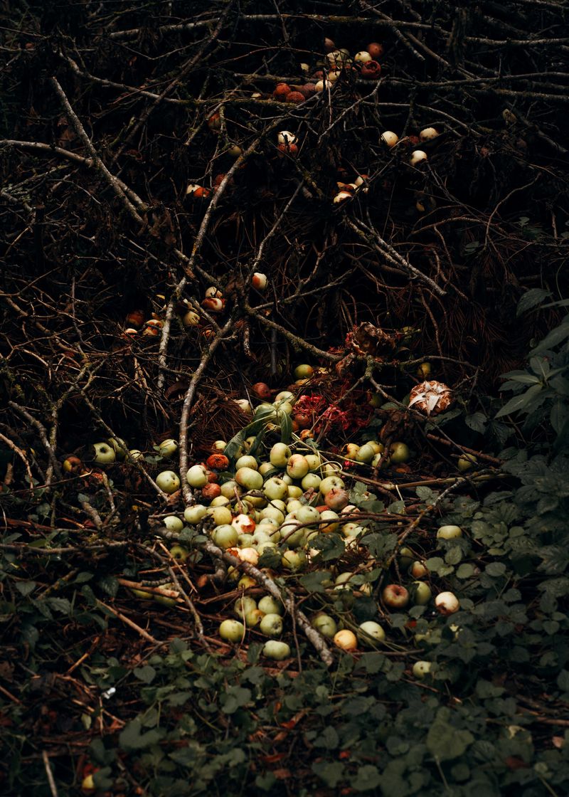 © Nadja Ellinger - A nice bouquet of flowers