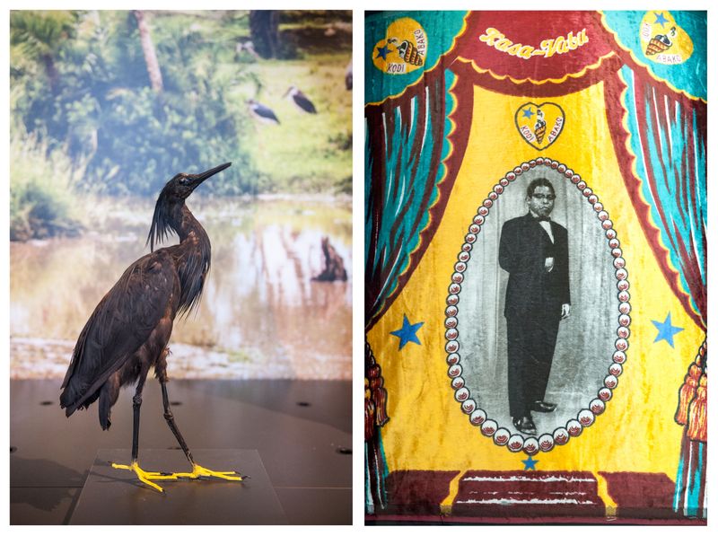 © Gloria Oyarzabal - Image from the USUS FRUCTUS ABUSUS photography project