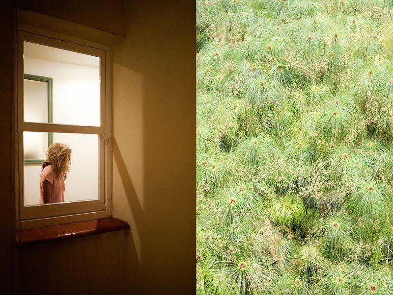 © Gloria Oyarzabal - WALDEN #1