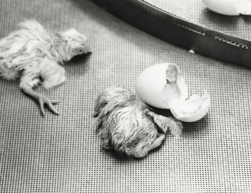 © Cemre Yeşil - Image from the I Want to Always Be with You by Cemre Yeşil Gönenli photography project