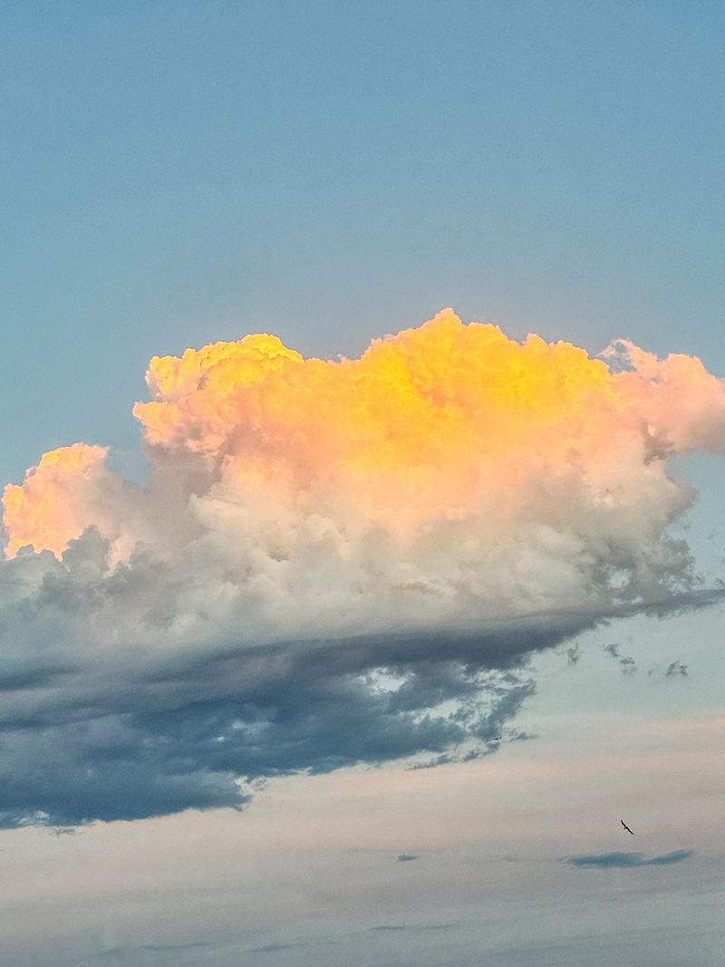 © Cemre Yeşil - Image from the I Want to Always Be with You by Cemre Yeşil Gönenli photography project