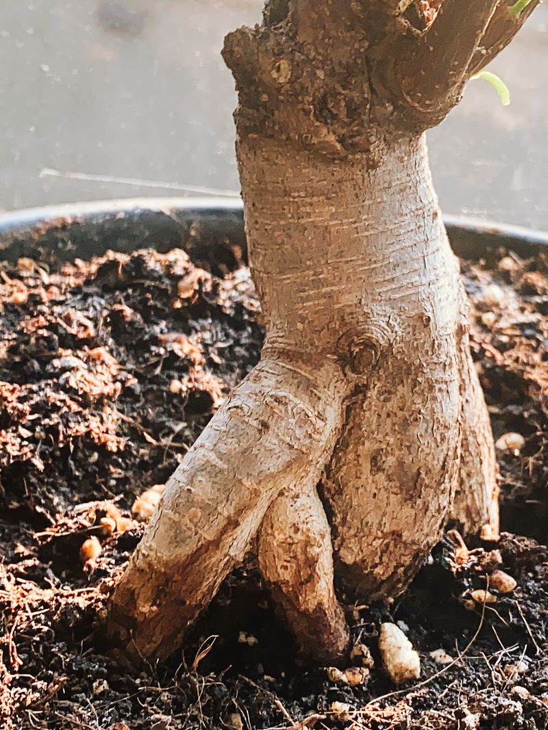 © Cemre Yeşil - Image from the I Want to Always Be with You by Cemre Yeşil Gönenli photography project