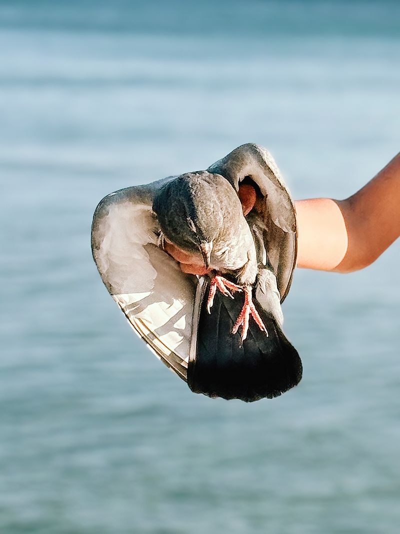 © Cemre Yeşil - Image from the I Want to Always Be with You by Cemre Yeşil Gönenli photography project