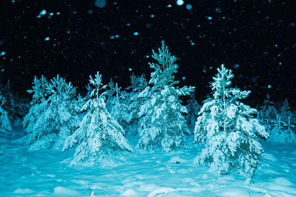 © Sari Soininen - Image from the Shallow Waters, Misty Waves photography project