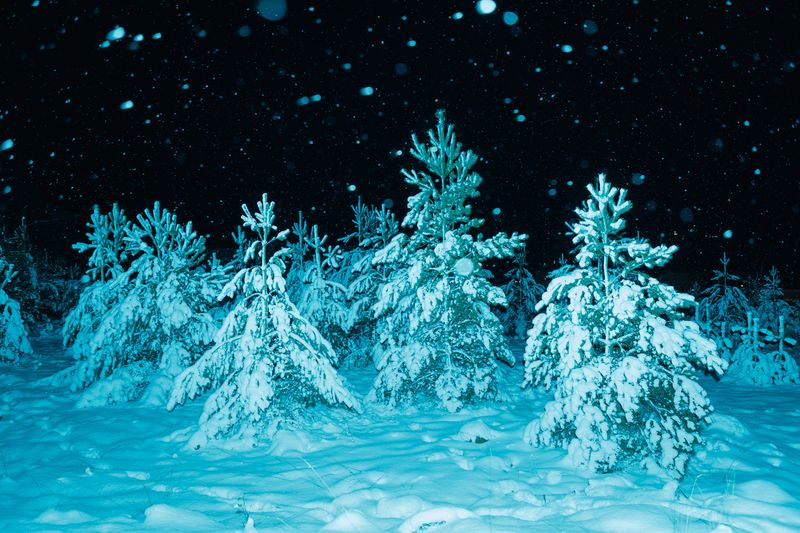 © Sari Soininen - Image from the Shallow Waters, Misty Waves photography project