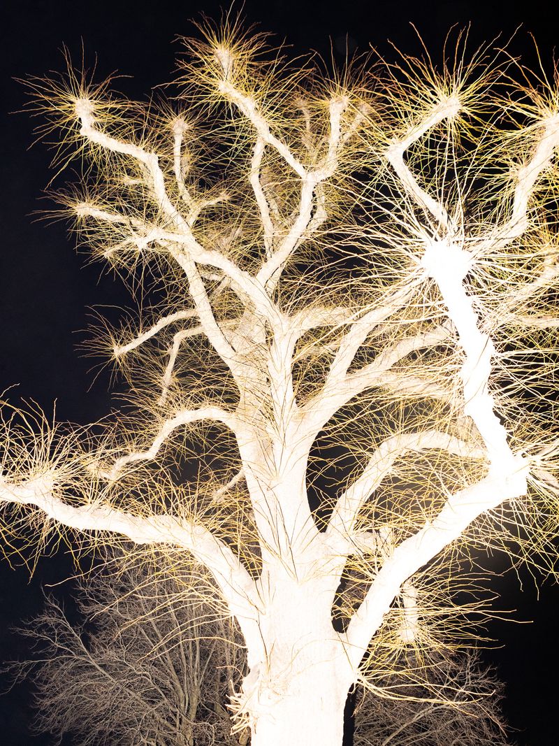 © Sari Soininen - Image from the Shallow Waters, Misty Waves photography project