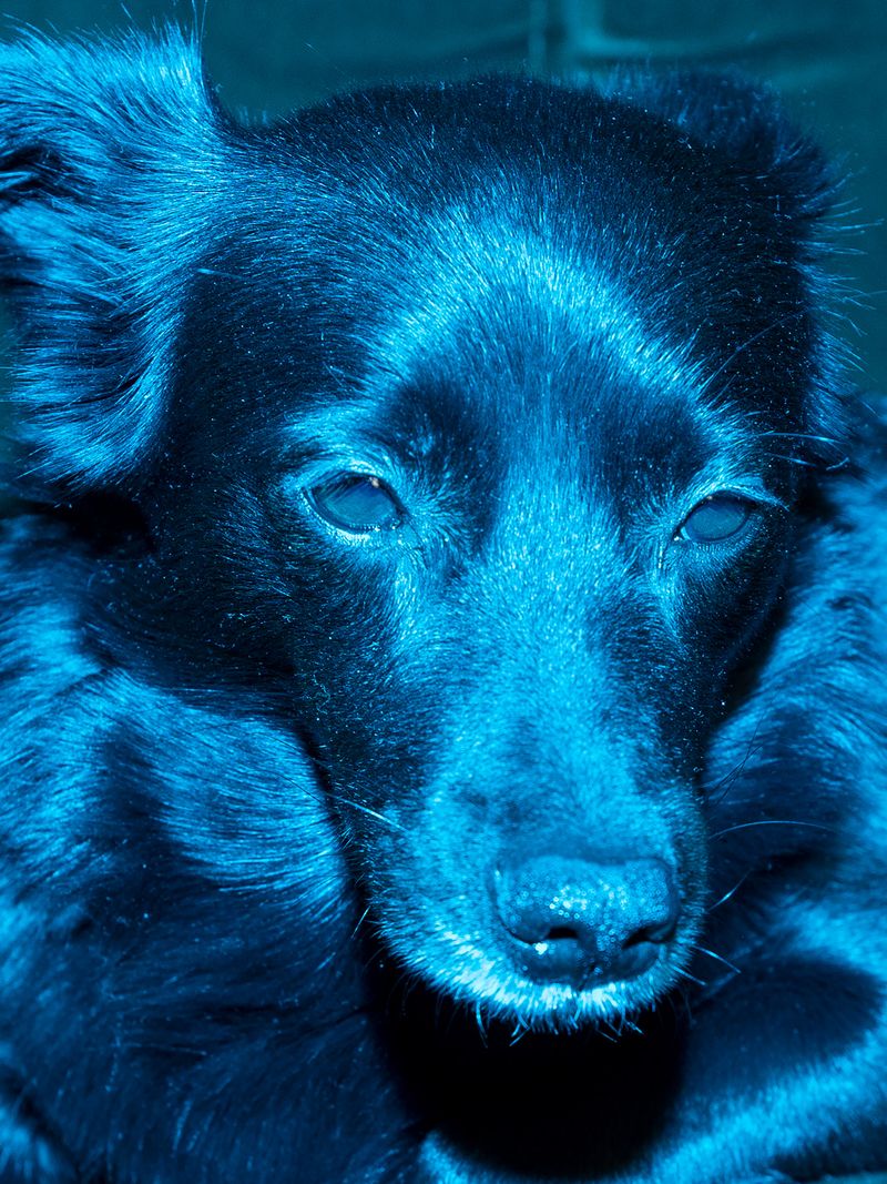 © Sari Soininen - Image from the Shallow Waters, Misty Waves photography project