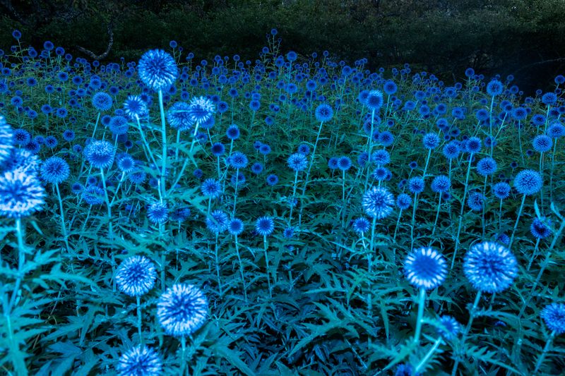 © Sari Soininen - Image from the Shallow Waters, Misty Waves photography project