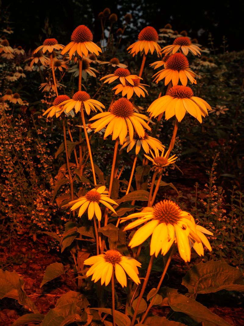 © Sari Soininen - Image from the Shallow Waters, Misty Waves photography project