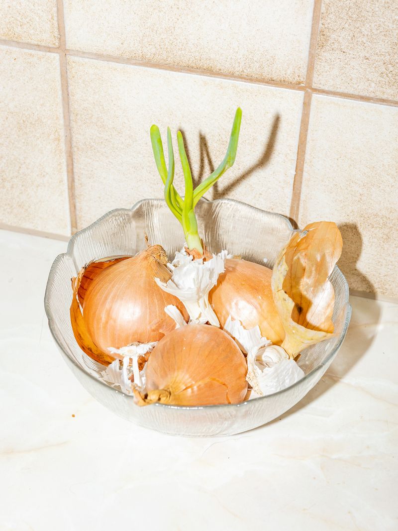 © Sari Soininen - Image from the Shallow Waters, Misty Waves photography project