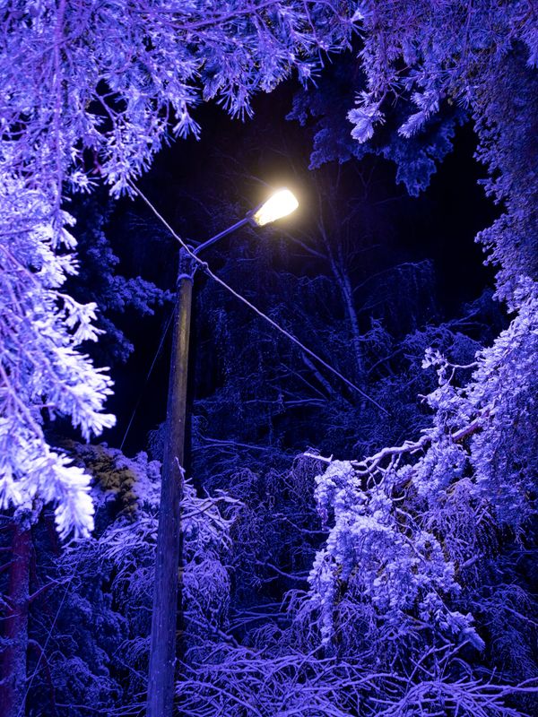 © Sari Soininen - Image from the Shallow Waters, Misty Waves photography project