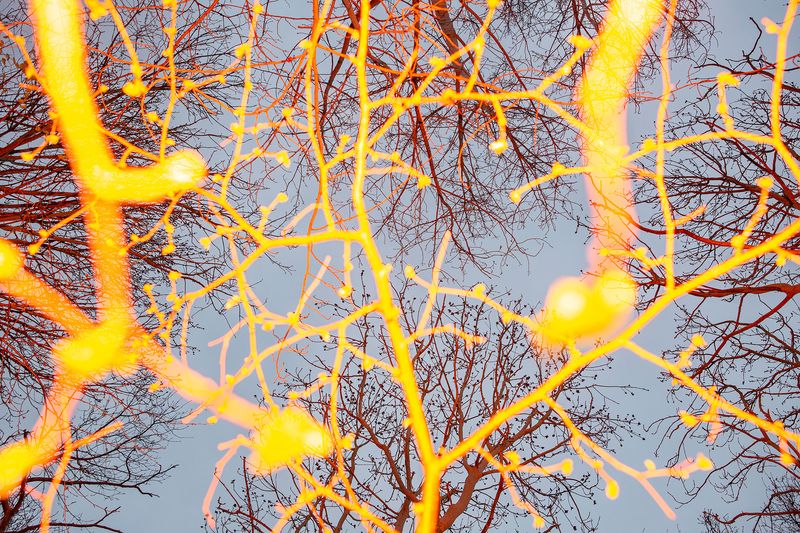 © Sari Soininen - Image from the Transcendent Country of the Mind photography project