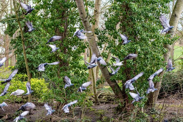 © Sari Soininen - Image from the Transcendent Country of the Mind photography project