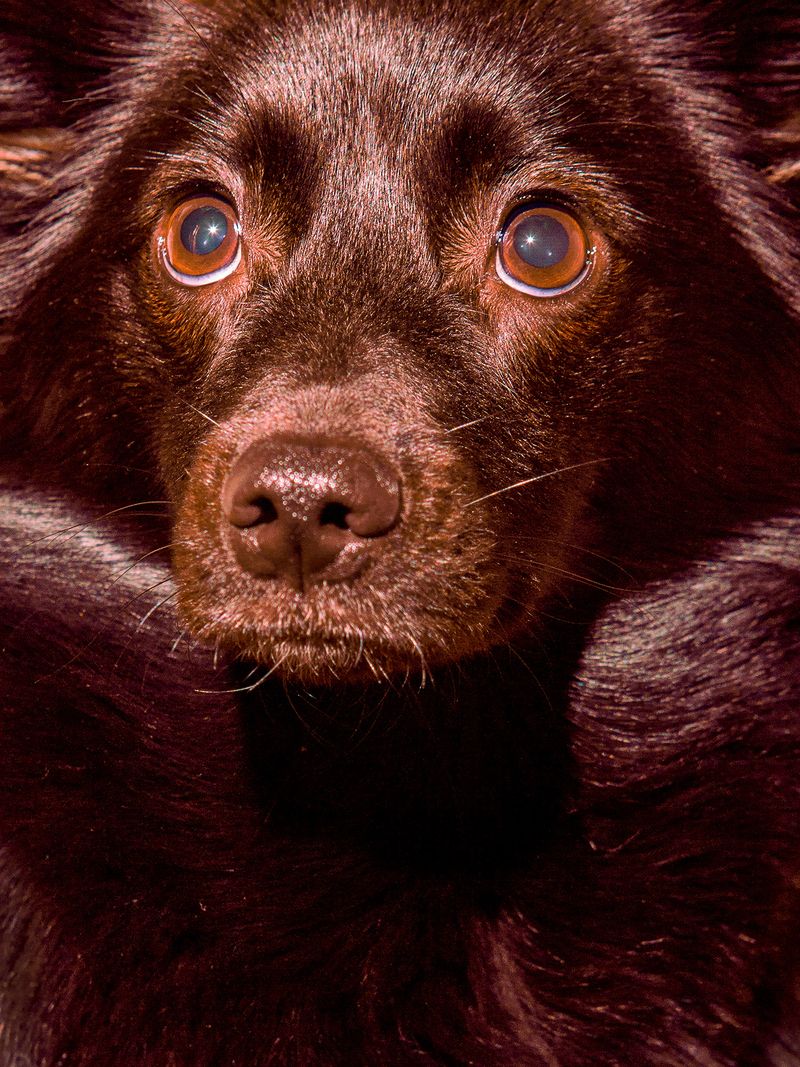 © Sari Soininen - Image from the Transcendent Country of the Mind photography project