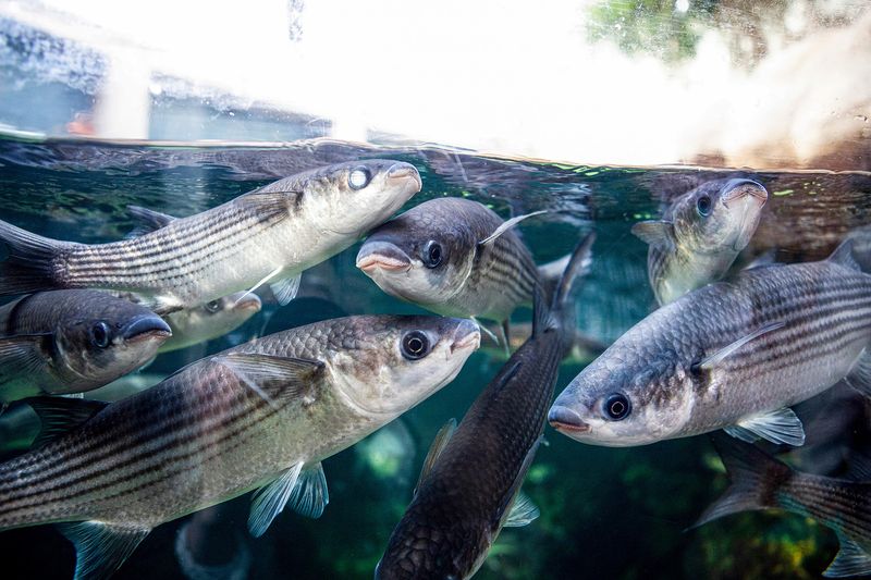 © Sari Soininen - Image from the Transcendent Country of the Mind photography project