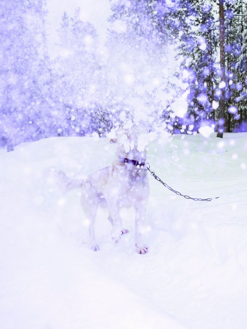 © Sari Soininen - Image from the Transcendent Country of the Mind photography project