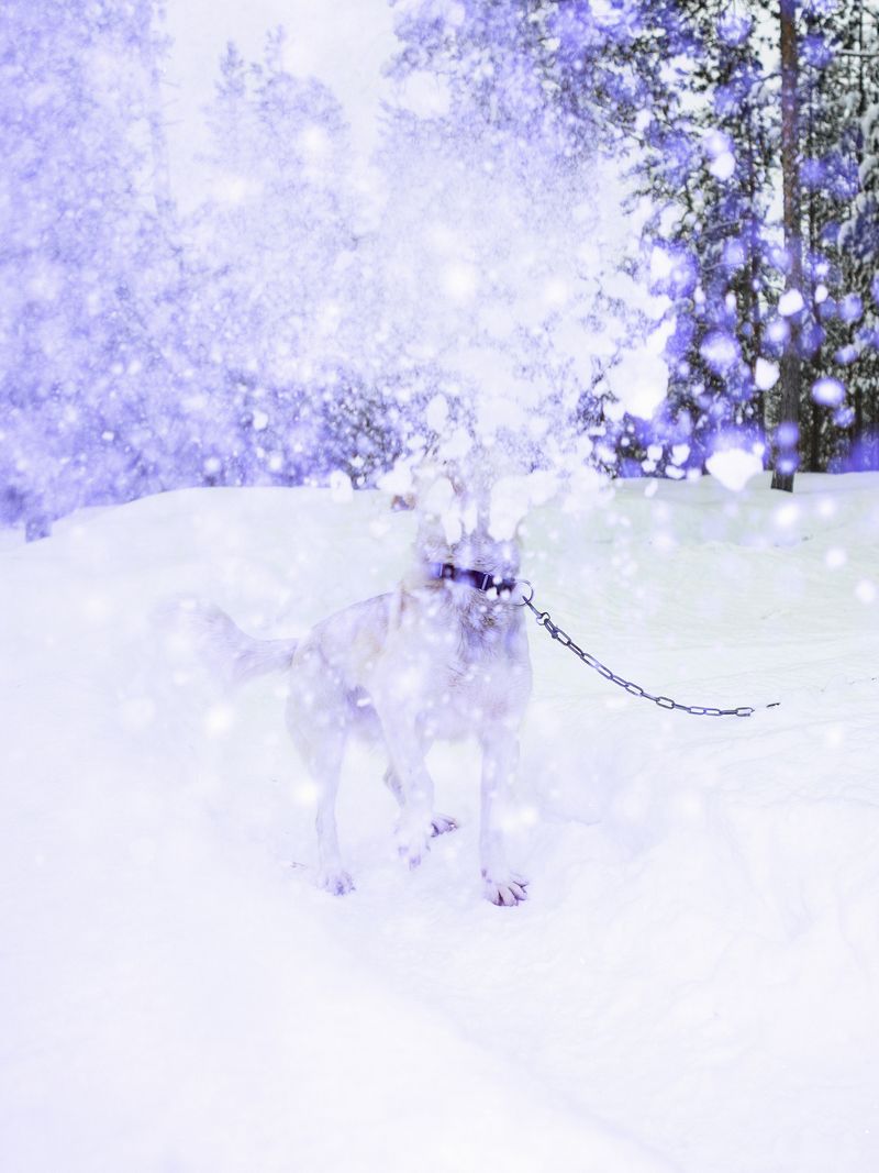 © Sari Soininen - Image from the Transcendent Country of the Mind photography project