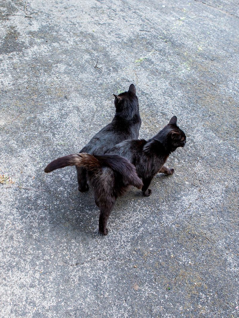 © Sari Soininen - Image from the Transcendent Country of the Mind photography project