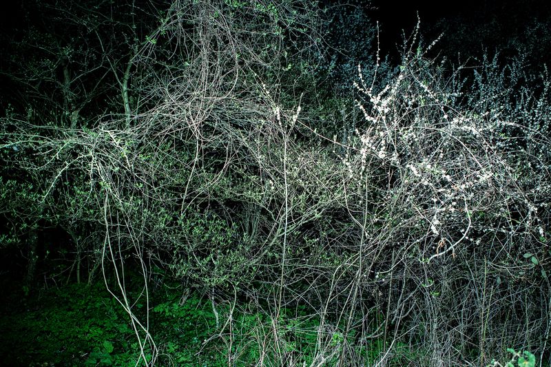 © Sari Soininen - Image from the Transcendent Country of the Mind photography project