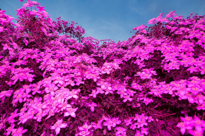 © Sari Soininen - Image from the Transcendent Country of the Mind photography project