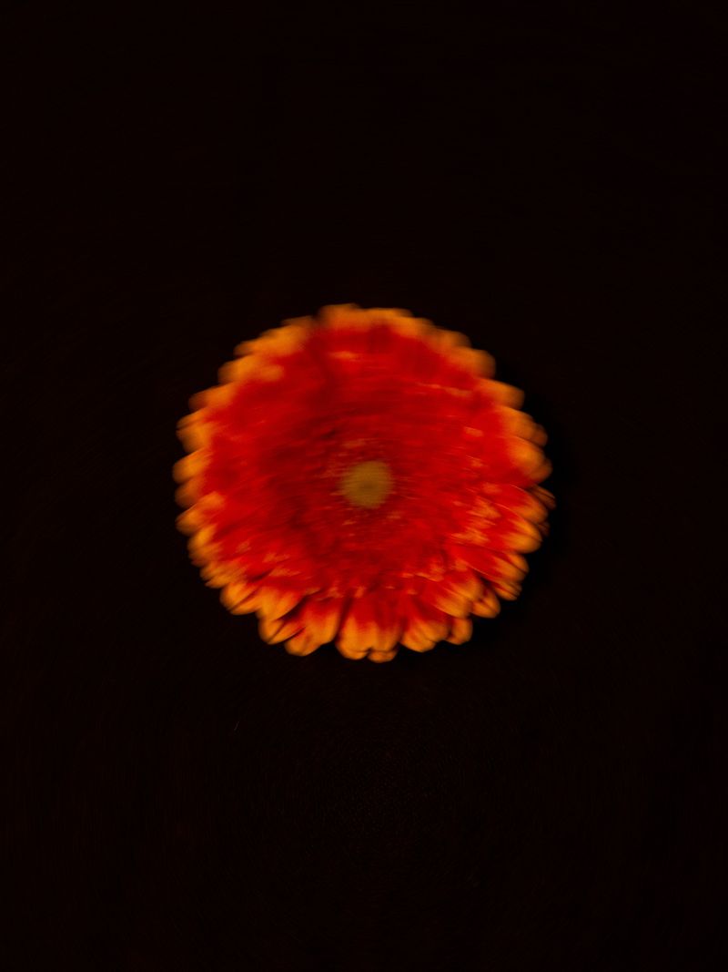 © Sari Soininen - Image from the Spinster photography project