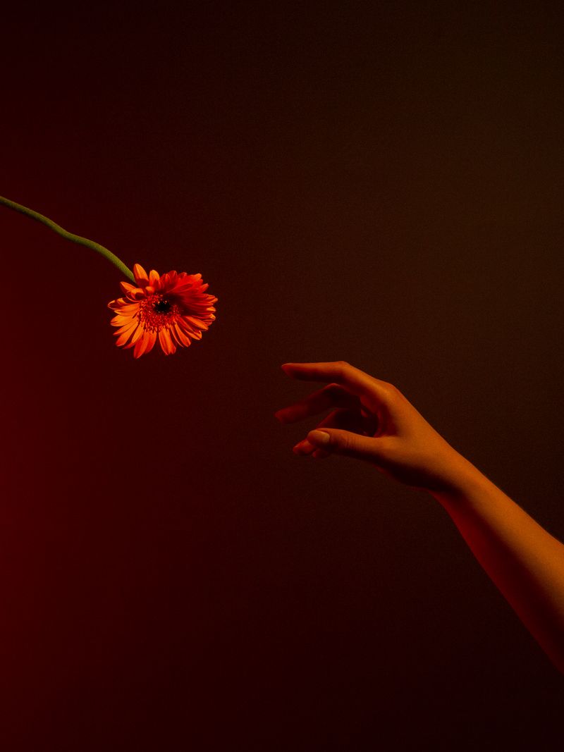 © Sari Soininen - Image from the Spinster photography project