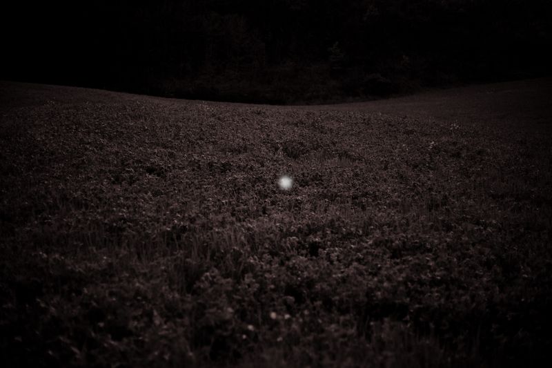 © Cristian Iacono - Image from the Fin dove posso photography project