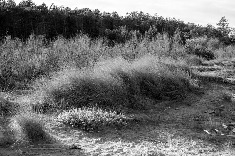 © Cristian Iacono - Image from the Fin dove posso photography project
