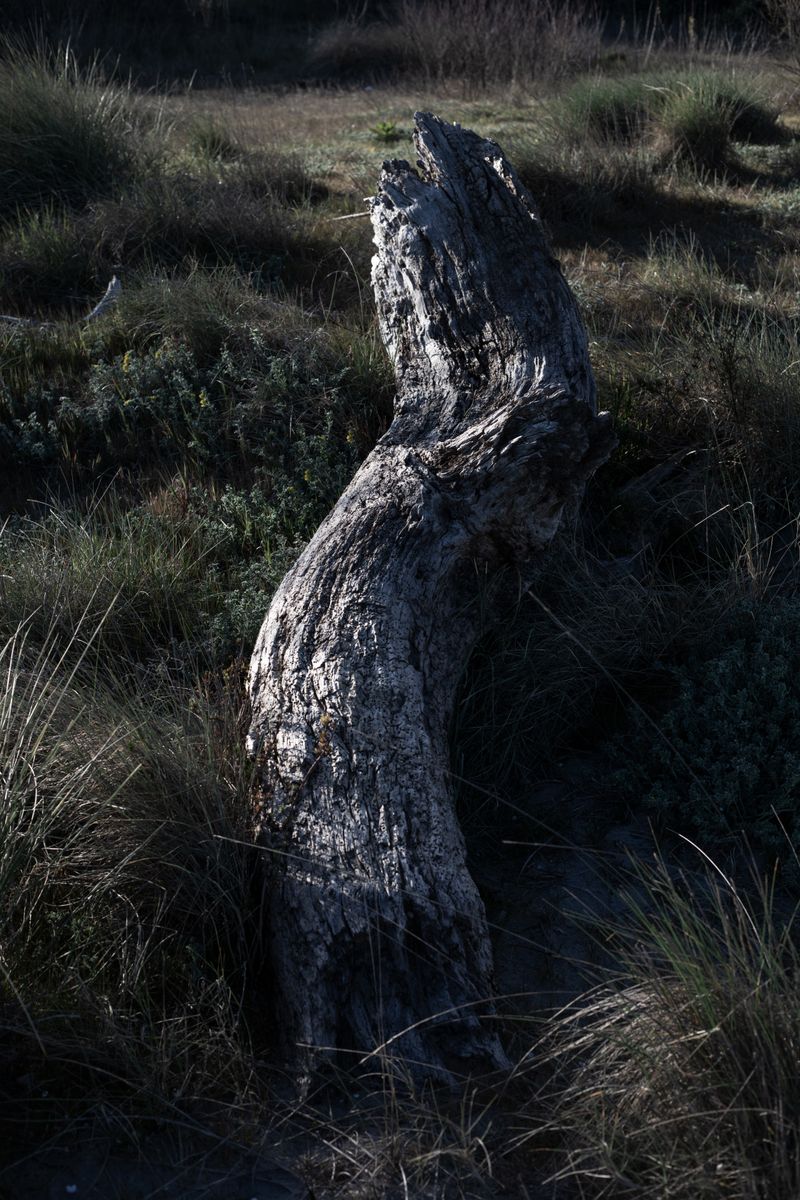© Cristian Iacono - Image from the Fin dove posso photography project
