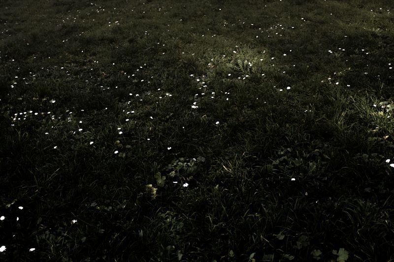 © Cristian Iacono - Image from the Non sono più lì photography project