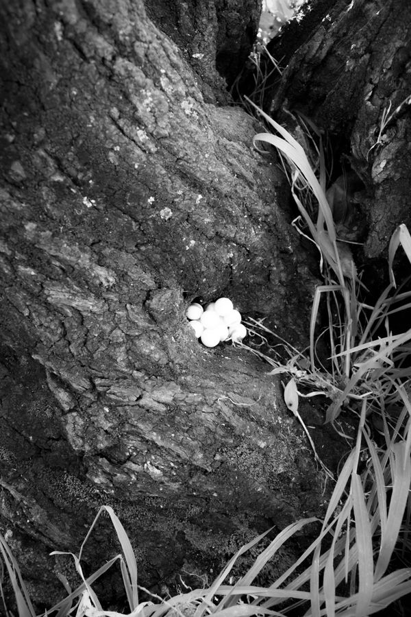 © Cristian Iacono - Image from the Non sono più lì photography project