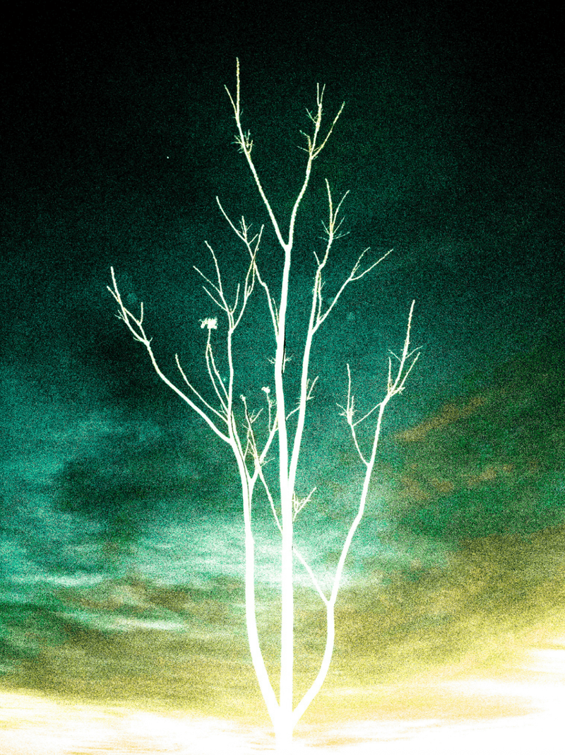© Cristian Iacono - Image from the Non sono più lì photography project