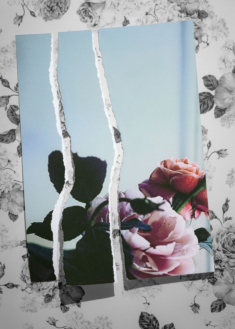 © Stephanie Taiber - Bearing His Flowers