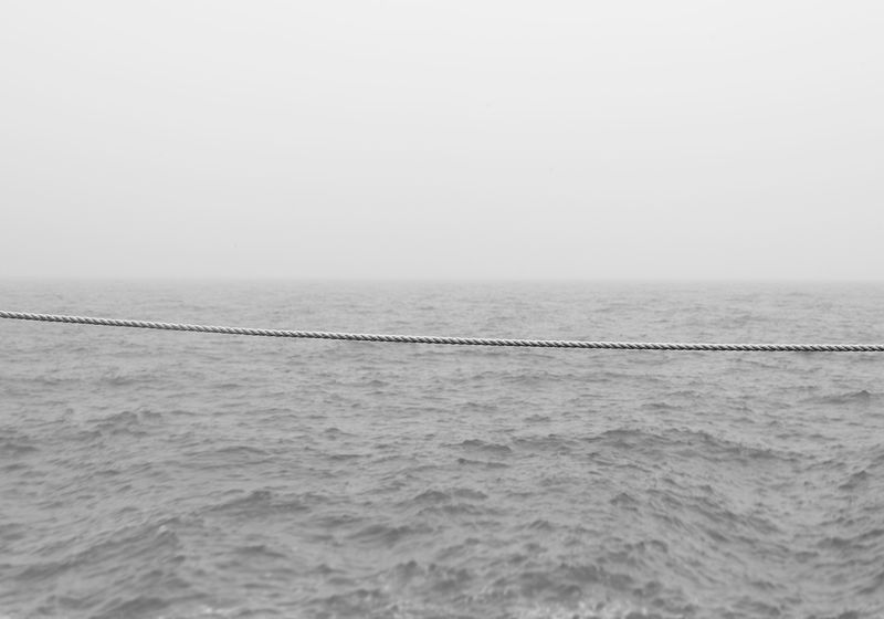 © Stephanie Taiber - Despairing of Human Relations