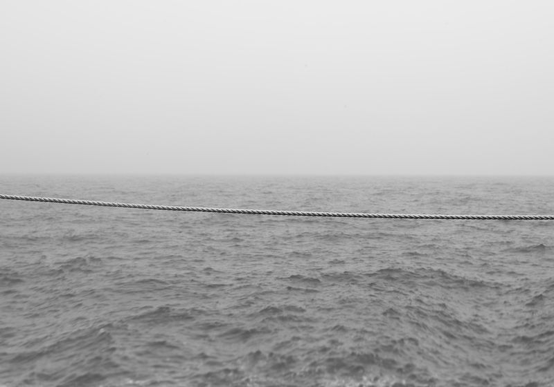 © Stephanie Taiber - Despairing of Human Relations