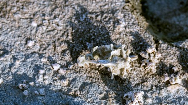 © Jessica Milberg - Image from the The Air We Breathe photography project