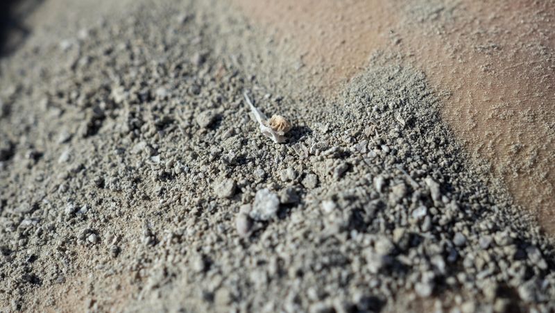 © Jessica Milberg - Image from the The Air We Breathe photography project