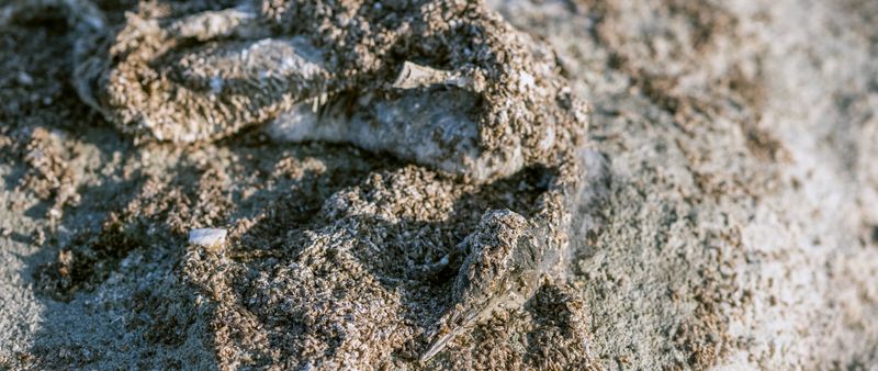 © Jessica Milberg - Image from the The Air We Breathe photography project